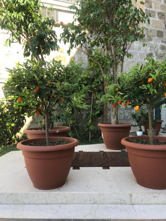B&B Il Cavaliere Caserta Esterno foto